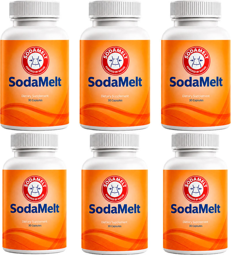 Six bottles of SodaMelt dietary supplement — best value option